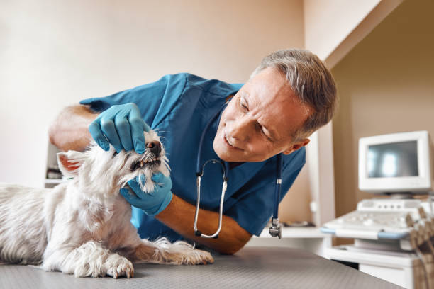 Best Emergency Dental Extractions in Carrabelle, FL
